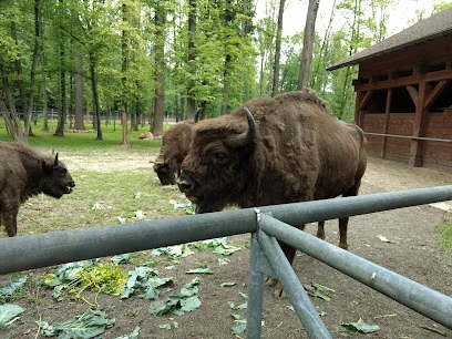 Zagroda Żubrów w Pszczynie